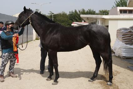 ���̺񿡽��� ����