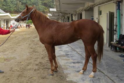 Ÿ������ ����