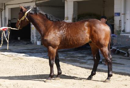 ���̵帮�� ����