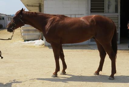 �������� ����