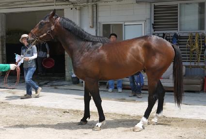 ����� ����