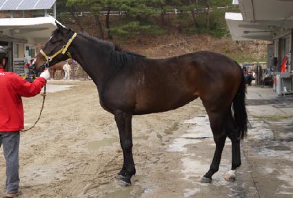 ��ž ����