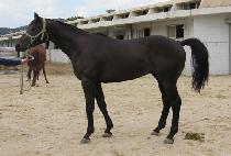 ������ (HEUK JEONSA) ����