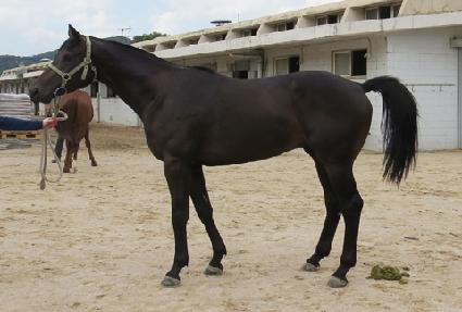 ������ ����