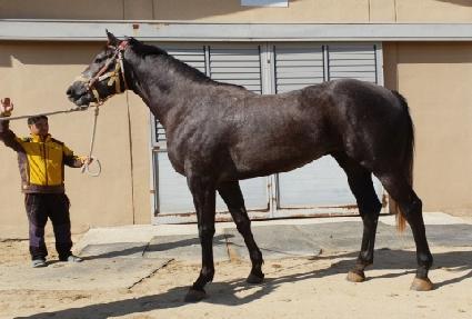 �ְ����� ����