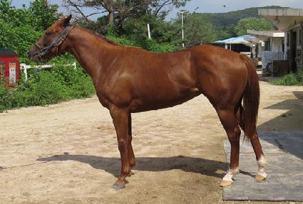 ����Ʈ��Ƽ ����