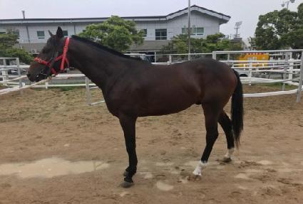 ����屺 ����