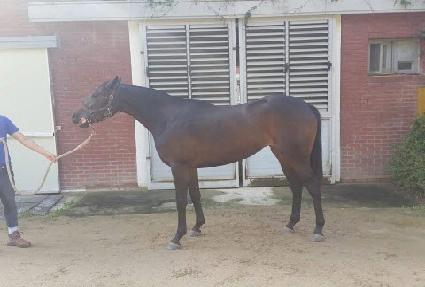 ���͵����� ����