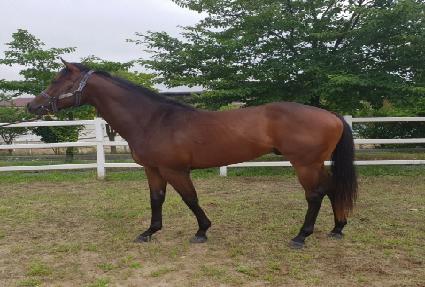 �ʵ����� ����