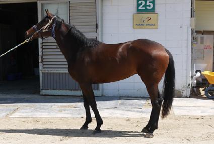 ���帮�� ����