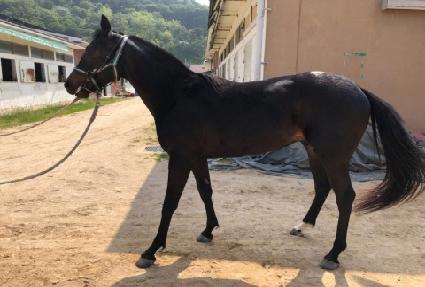 �ʵ����� ����