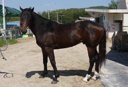 ���ʺ��� ����