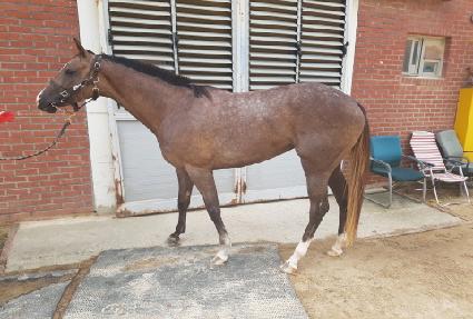 ������ ����