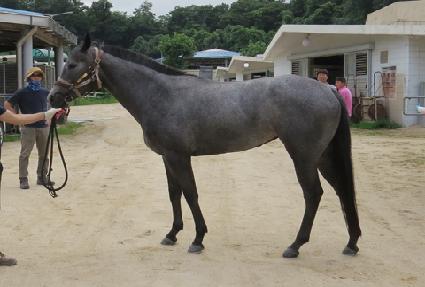 ������Ÿ�� ����