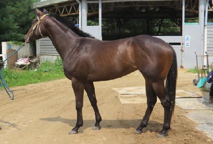 �ʵ����� ����