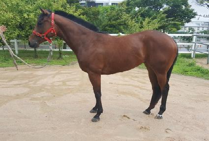 �ʵ��Ǵн� ����