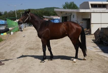 ���и������� ����