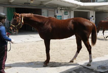 ��Ʈ��è�Ǿ� ����