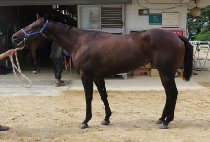 ���ø�Ʈ��ũ ����