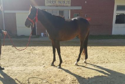 �ְ����� ����