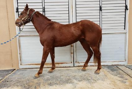 �йи��� ����