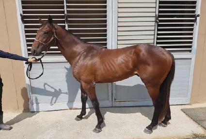 �̳ʸ� ����