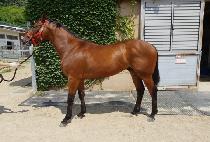 �����õ� (PRECEDE) ����