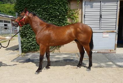 �����õ� ����