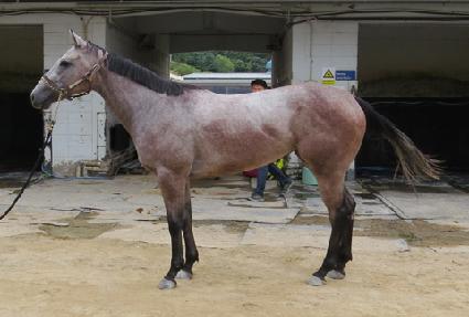 ��������� ����