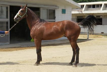 ���������� ����