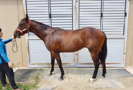 �´��� ����