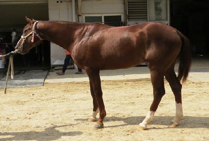 �ݾƽ����� ����