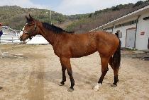 ���Ͼ��� (UNION QUEEN) ����