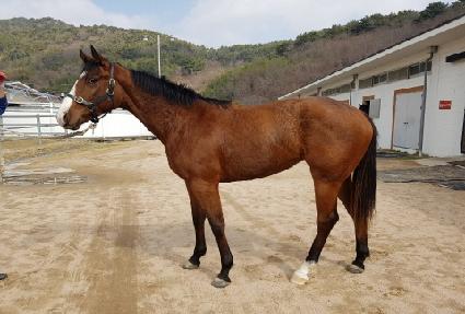 ���Ͼ��� ����