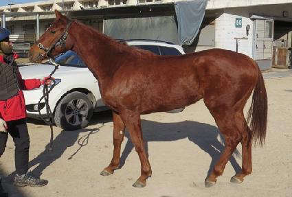 ��īĹ ����