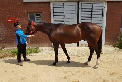 ǻ����ũ ����