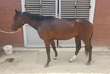 Ʈ��뷯 ����