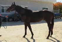 �ε��� (ENDURANCE) ����