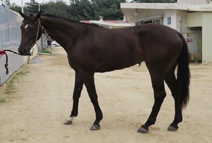 �����Լ� ����