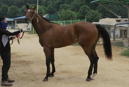 ī���� ����