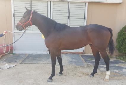 ���ϵ����� ����