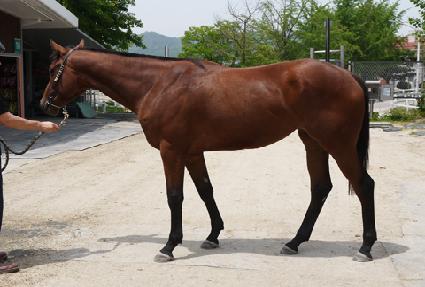 �뼺�ϴ� ����