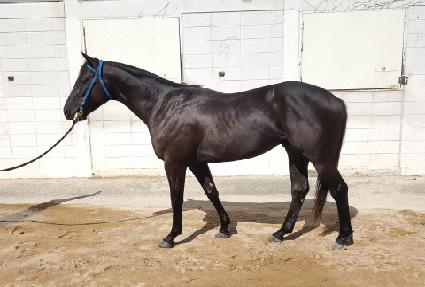 ����Ÿ ����