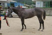 SPEED MOUNTAIN picture