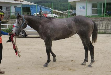 ���ǵ帶��ƾ ����