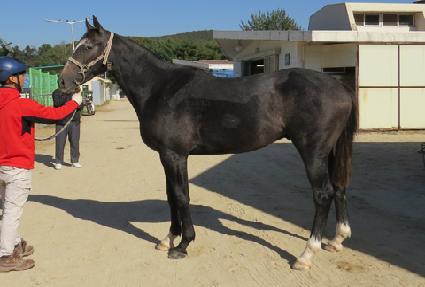 �޴Ͻ��ǵ� ����