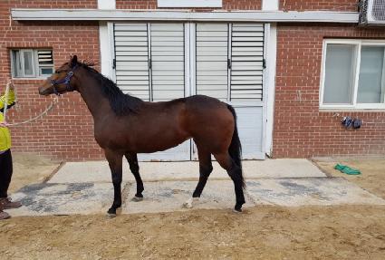 ��Ű���Դ� ����