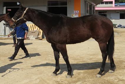 �����׷���Ʈ ����