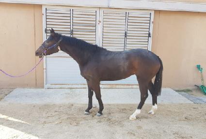 �����̹�Ʈ ����