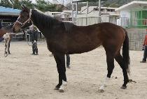 �ٶ��ǼҸ� (BARAMUI SORI) ����